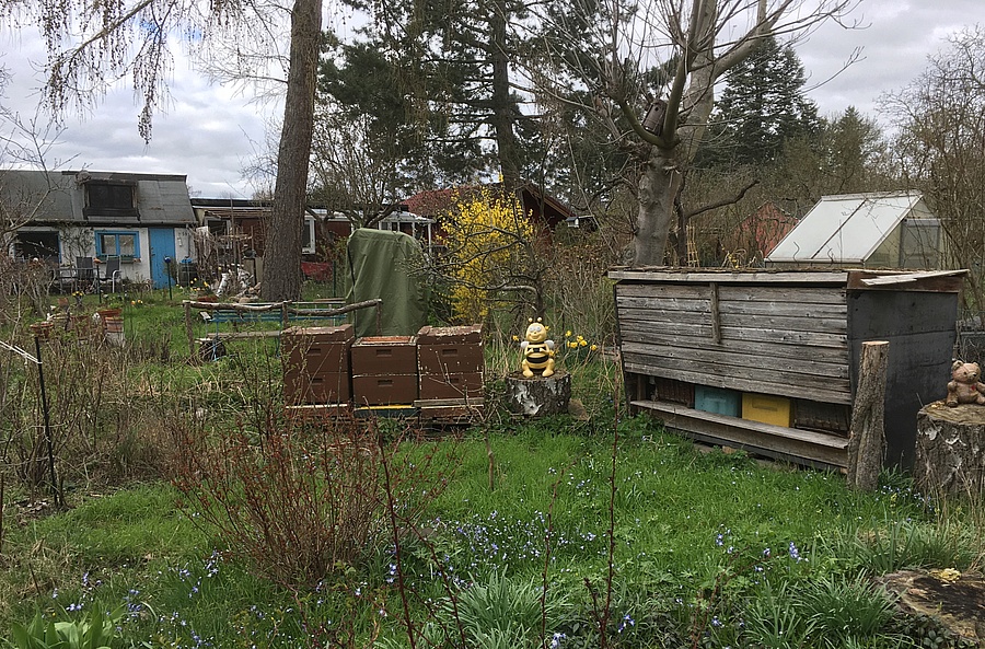 Garten mit Bienenkästen