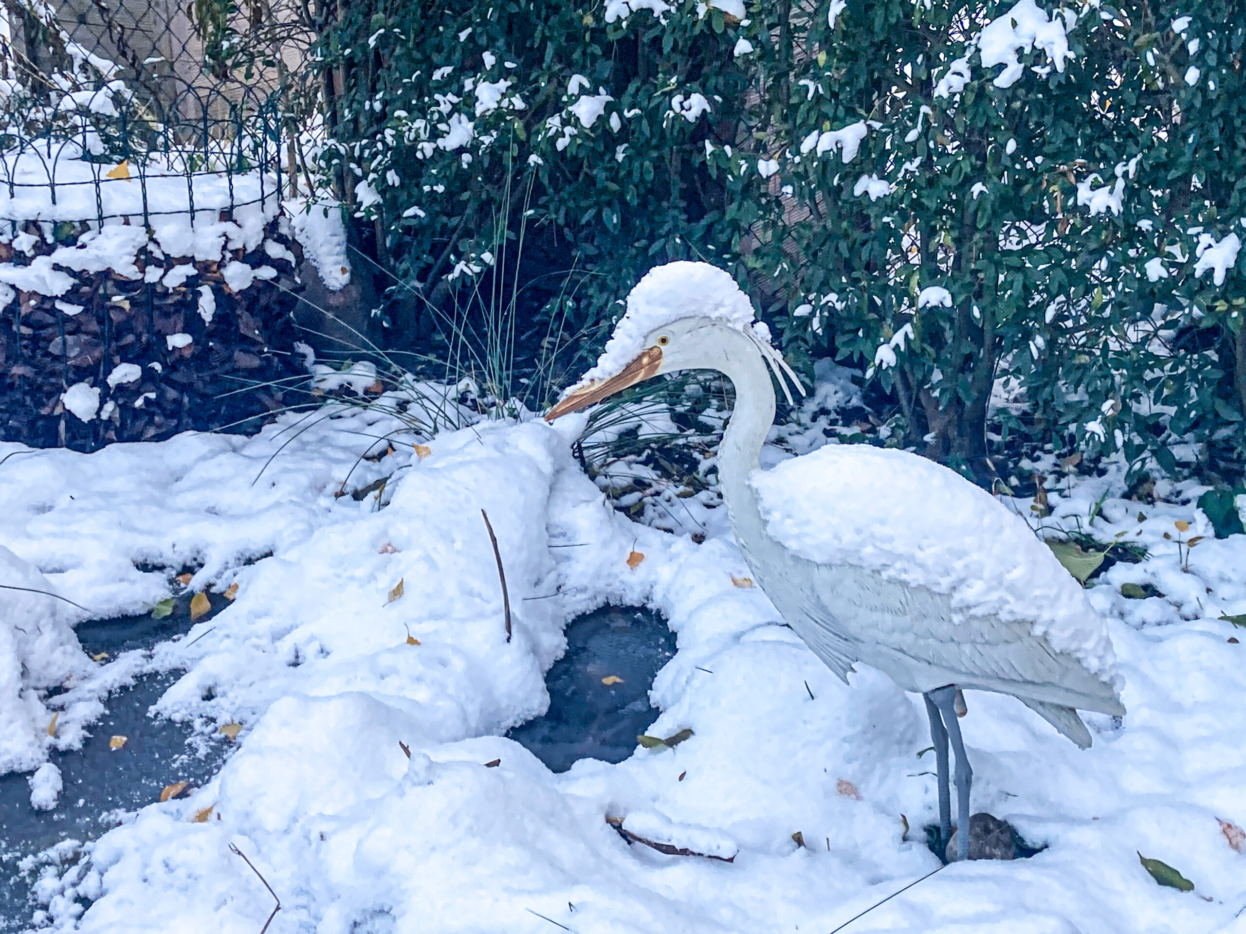 Kleingartenverein Lindenhain e.V. | Kleingartenkolonie in Berlin-Schöneberg