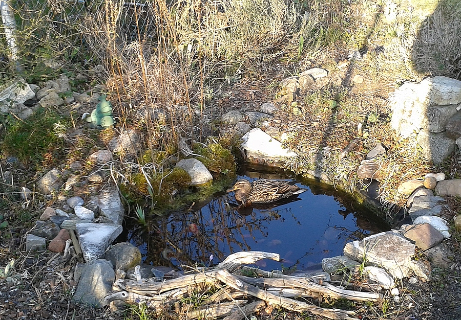 Gartenhaus im Schnee