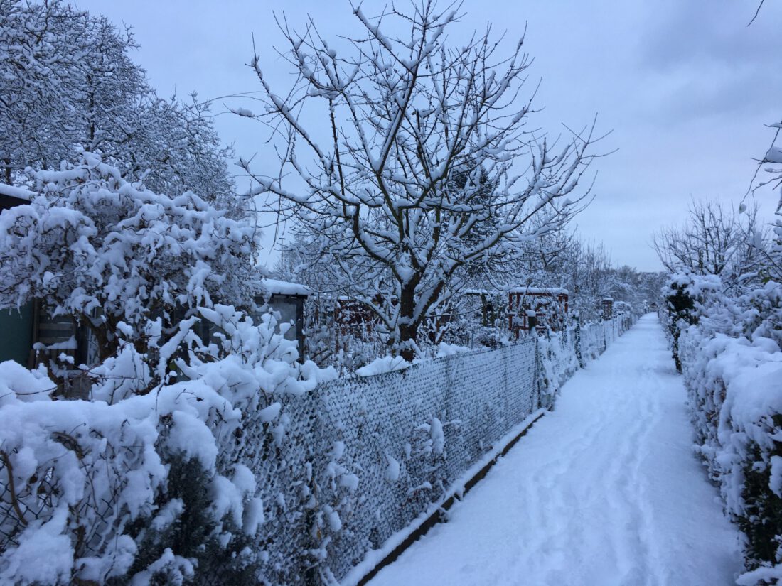 verschneiter Weg im Gartengelände